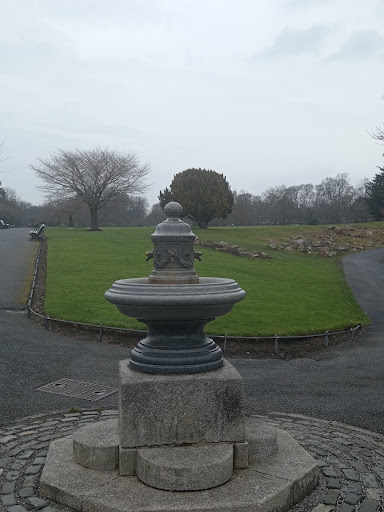 Phoenix Park Playground NCR 20250819 223856 010