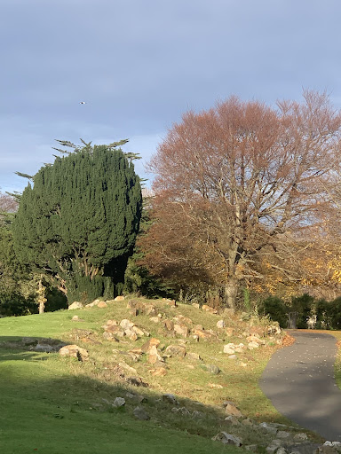 Phoenix Park Playground NCR 20250819 223904 017