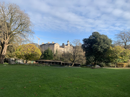 Phoenix Park Playground NCR 20250819 223907 020