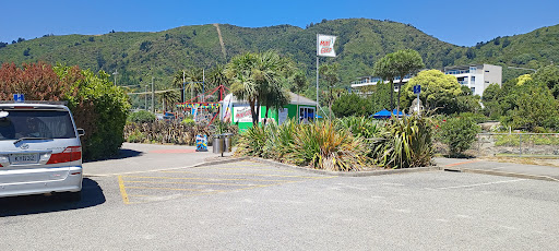 Picton Memorial Park Playground 20250818 170737 007
