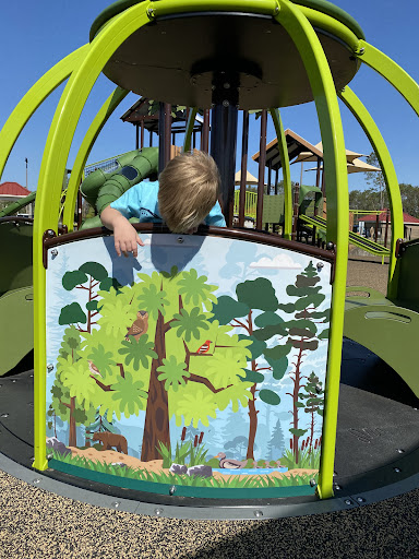 Pinederosa Playground 20250726 182529 010