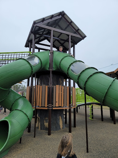 Pinederosa Playground 20250726 182533 016