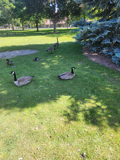 Pioneer Park 20250727 085214 001