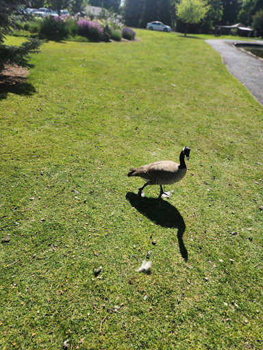 Pioneer Park 20250727 085215 002