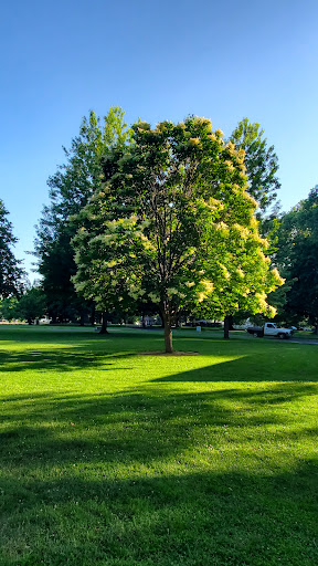 Pioneer Park 20250727 085218 006