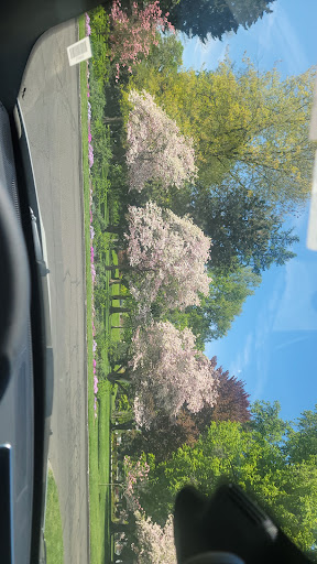 Pioneer Park 20250727 085226 016