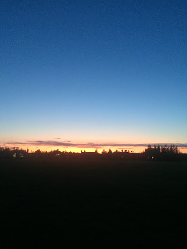 Pioneer Park 20250727 094537 006