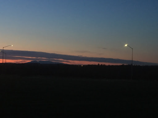Pioneer Park 20250727 094538 007