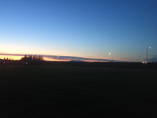 Pioneer Park 20250727 094540 010