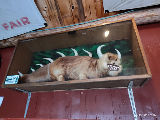 Pioneer Park Historical Complex   Opening for the Season  May 24th  20250727 084508 011