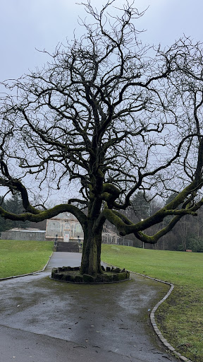 Play Area Corporation Park 20250808 161857 002