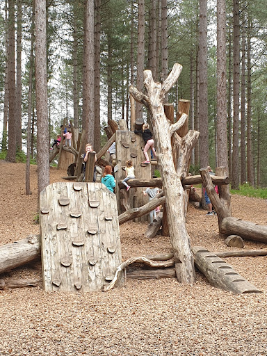 Play Trail Moors Valley 20250808 201954 001