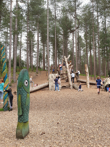 Play Trail Moors Valley 20250808 201955 002