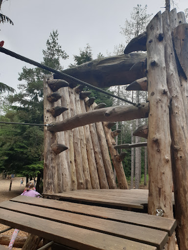 Play Trail Moors Valley 20250808 201955 003