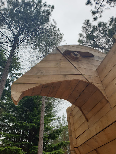 Play Trail Moors Valley 20250808 201956 004