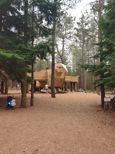 Play Trail Moors Valley 20250808 201957 005