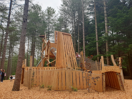 Play Trail Moors Valley 20250808 201958 006