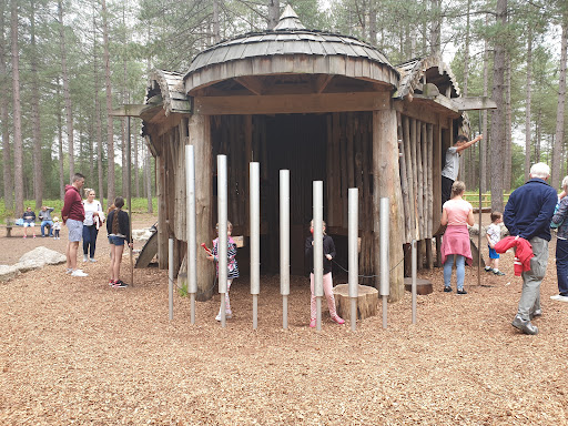 Play Trail Moors Valley 20250808 201959 007