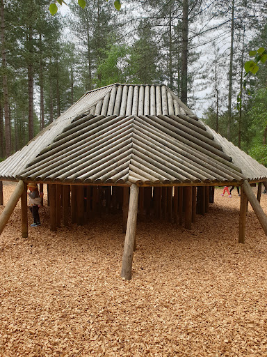 Play Trail Moors Valley 20250808 202000 008