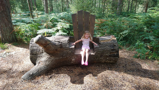 Play Trail Moors Valley 20250808 202000 009