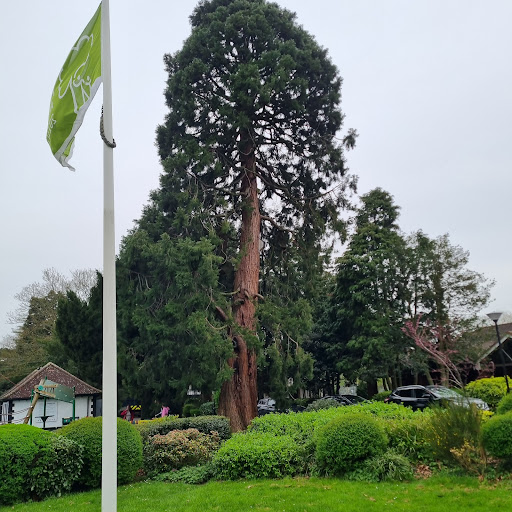 Play area 20250808 173943 014