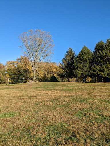 Play ground at Rust library 20250727 020103 001
