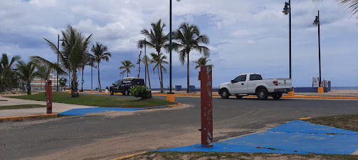 Playa P blica Ocean Park 20250727 104857 002