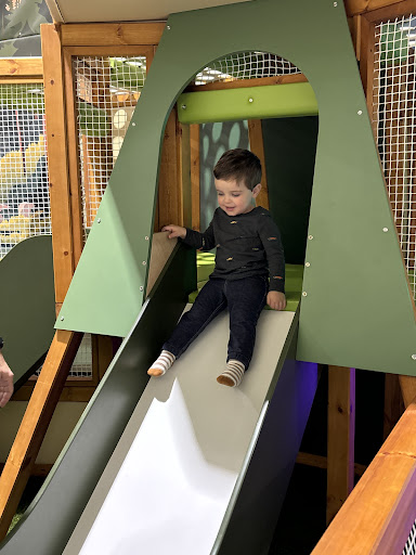 Playful Pines 20250727 040525 009