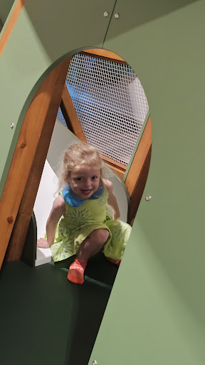 Playful Pines 20250727 040527 013