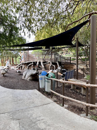 Playground 20250727 120309 001