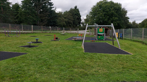 Playground 20250808 145342 001