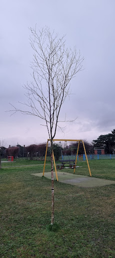 Playground 20250808 202838 012