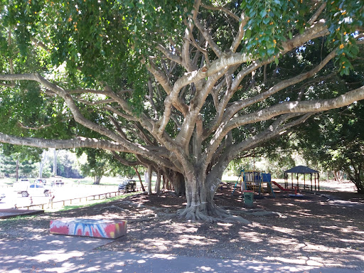 Playground 20250824 013029 005