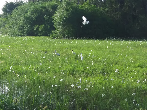 Playground Area Maracaibo Kidspace Park 20250726 165715 008