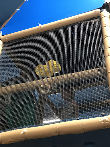 Playground For Kids 20250727 044420 007