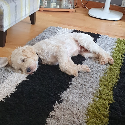 Playground Millstream Cl 20250808 195337 002