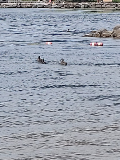 Playground Tenney Park Beach Area 20250727 131747 001