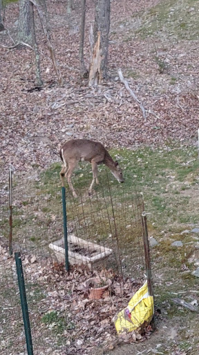 Pocono Woodland Lakes Property Owners Association 20250727 051027 007