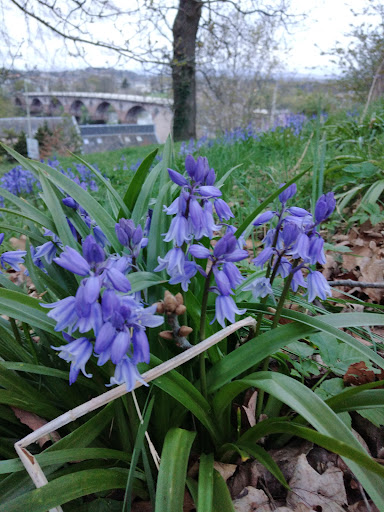 Potterhill Gardens Playground 20250808 150246 002