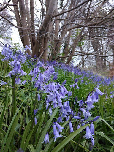 Potterhill Gardens Playground 20250808 150247 004