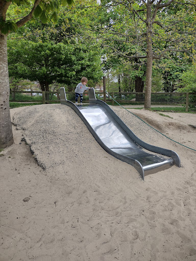 Preston Park Playground 20250808 200234 005