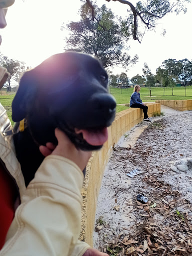 Princess Wallington Reserve 20250824 020916 003