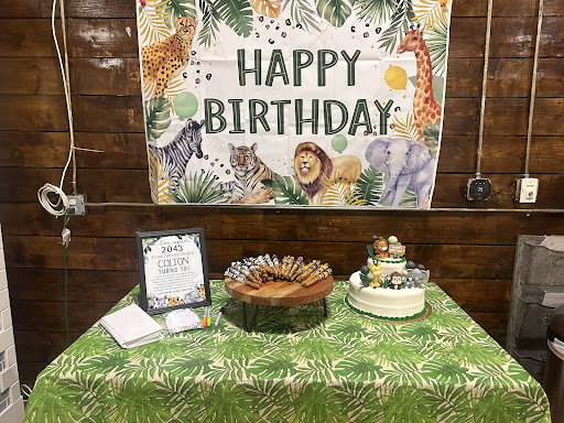 Princeton Playspace 20250727 032755 003