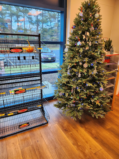 Princeton Playspace 20250727 032806 018