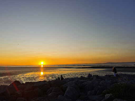 Promenade Water Fountains 20250808 160751 003