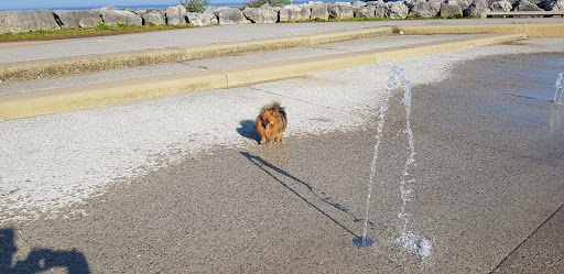Promenade Water Fountains 20250808 160758 011