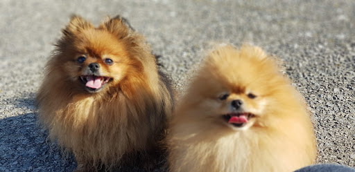 Promenade Water Fountains 20250808 160758 012