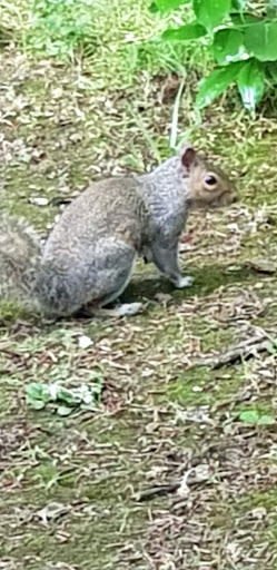 Quarry Road Play Park 20250808 191448 001