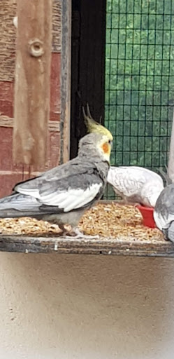 Quarry Road Play Park 20250808 191449 002