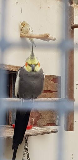 Quarry Road Play Park 20250808 191451 004